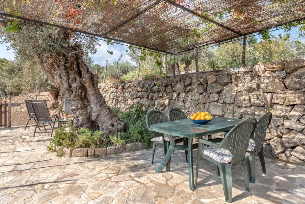 Deià semi-detached sunny country house, near GR221 Exterior foto