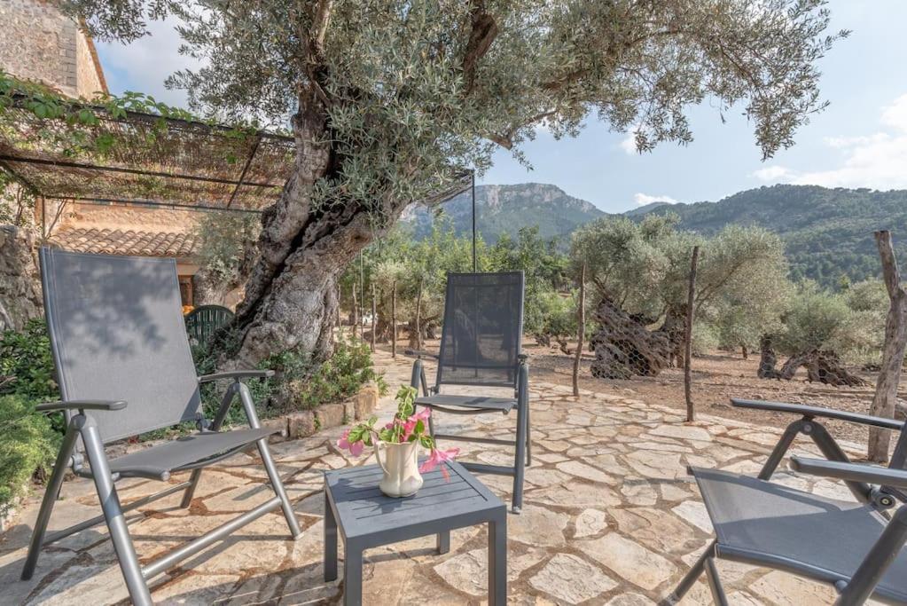 Deià semi-detached sunny country house, near GR221 Exterior foto