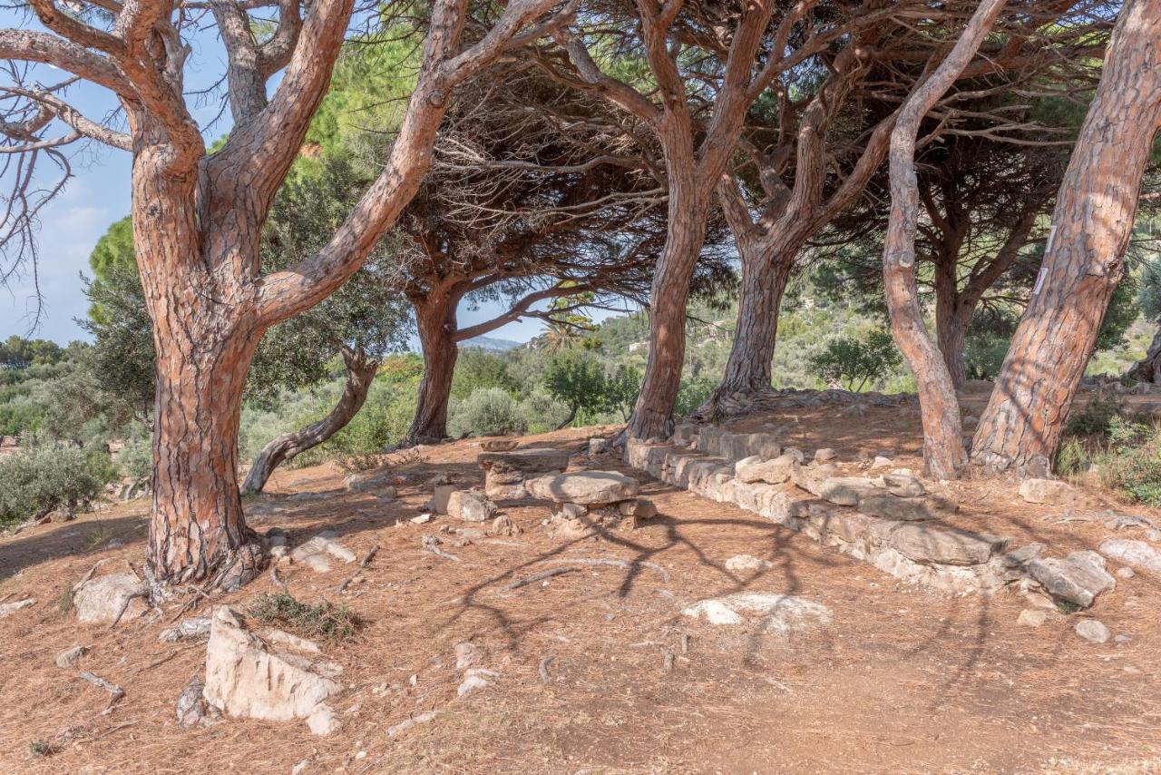 Deià semi-detached sunny country house, near GR221 Exterior foto