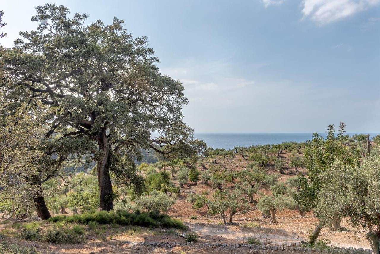 Deià semi-detached sunny country house, near GR221 Exterior foto