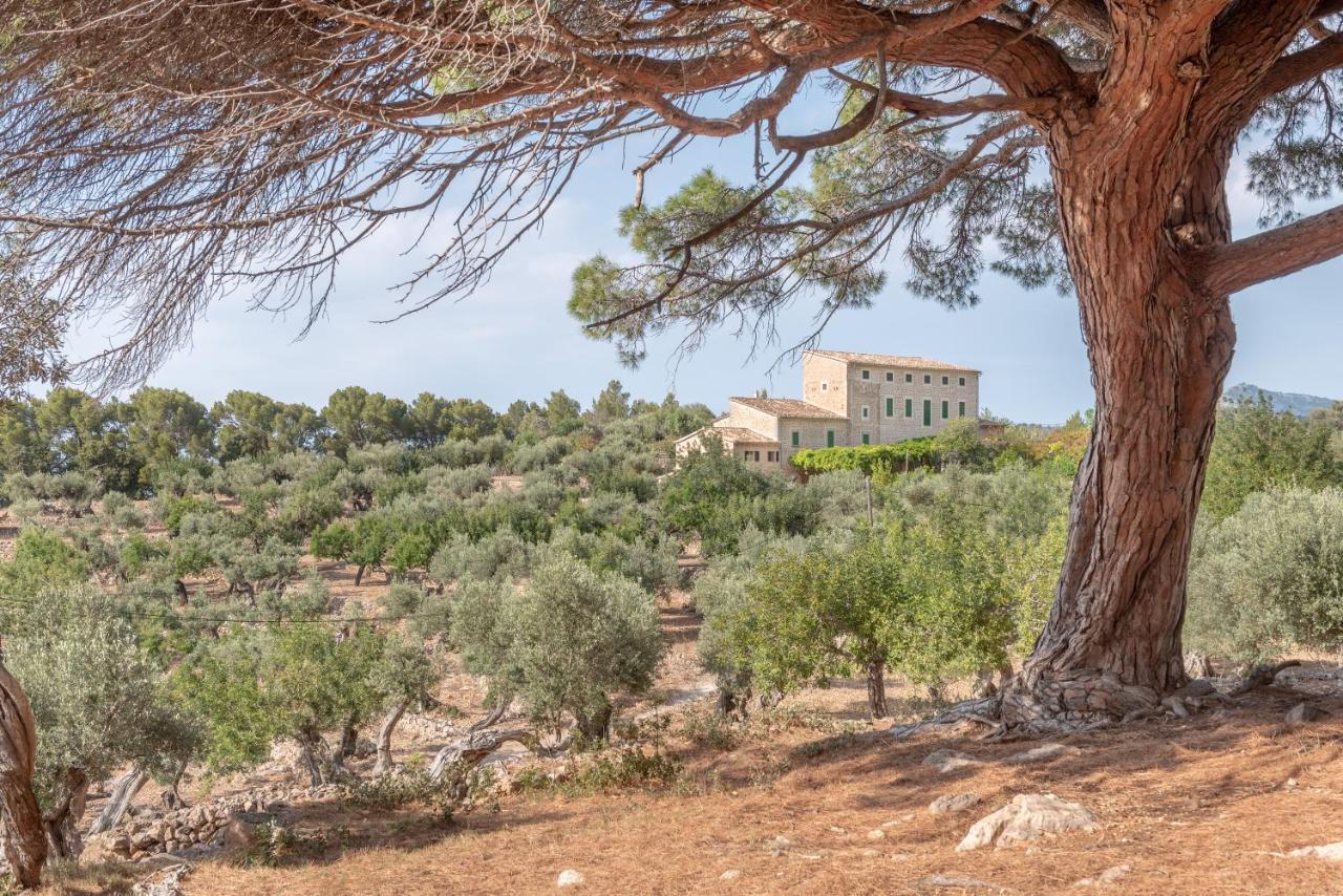 Deià semi-detached sunny country house, near GR221 Exterior foto